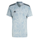 Camisa de Goleiro São Paulo 22/23 Adidas - Cinza