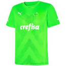 Palmeiras Goleiro 23/24 Puma - Verde