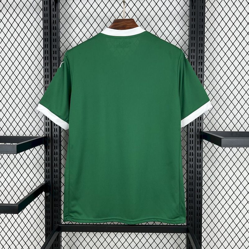 Palmeiras Titular 25/26