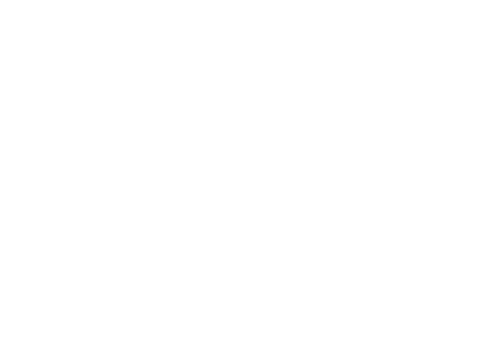 Es Store